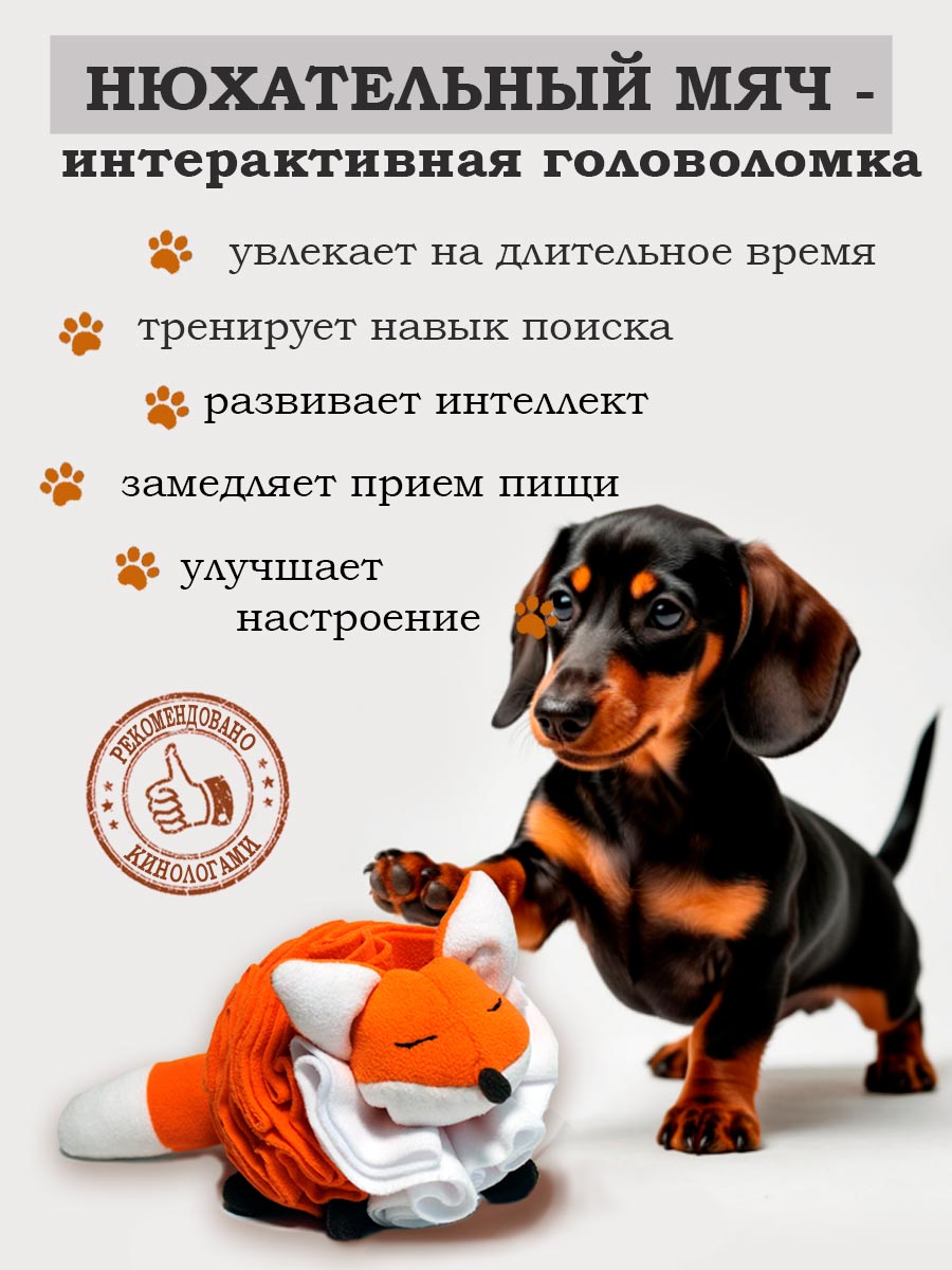 нюхательный мяч для игр с собакой