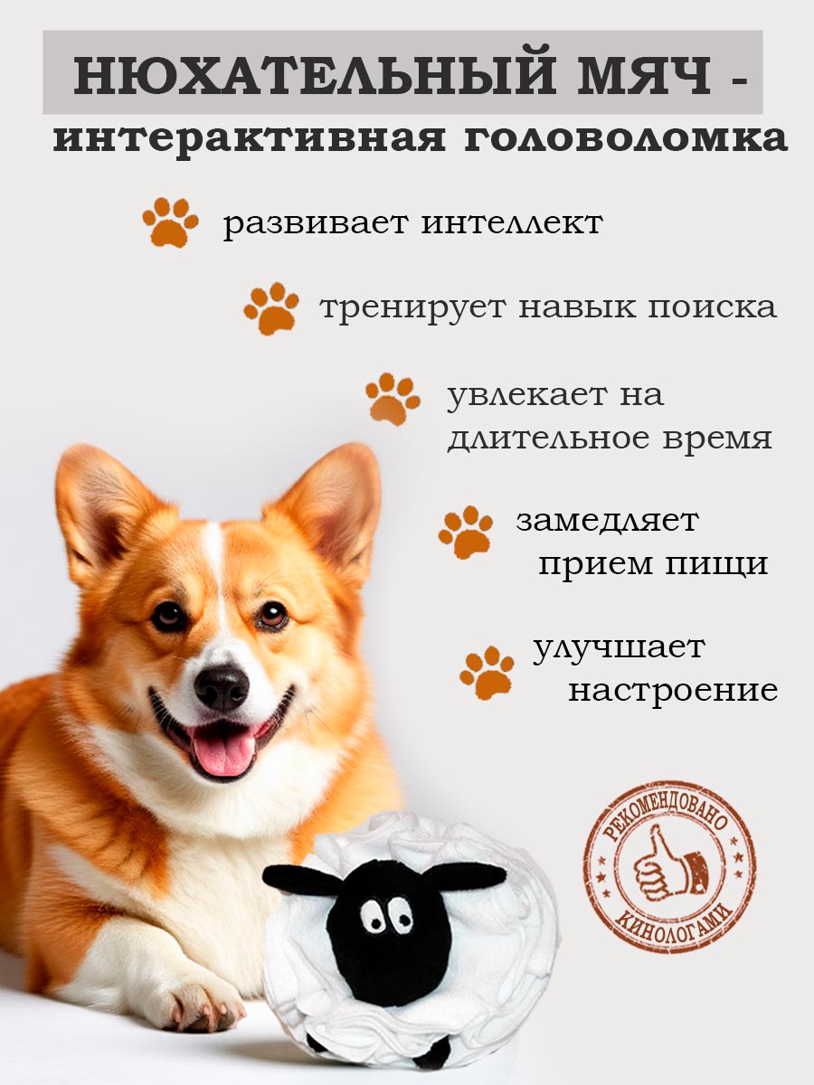 нюхательный мяч для игр