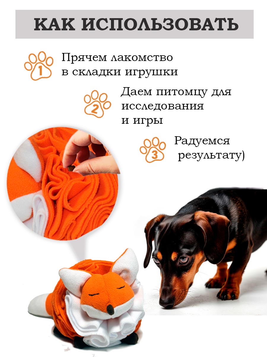 такса охотится за игрушкой Лисица