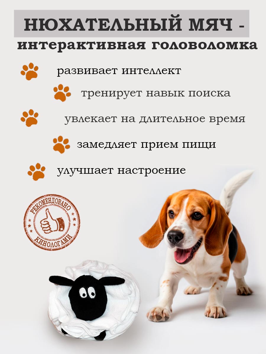 нюхательный мяч для игр