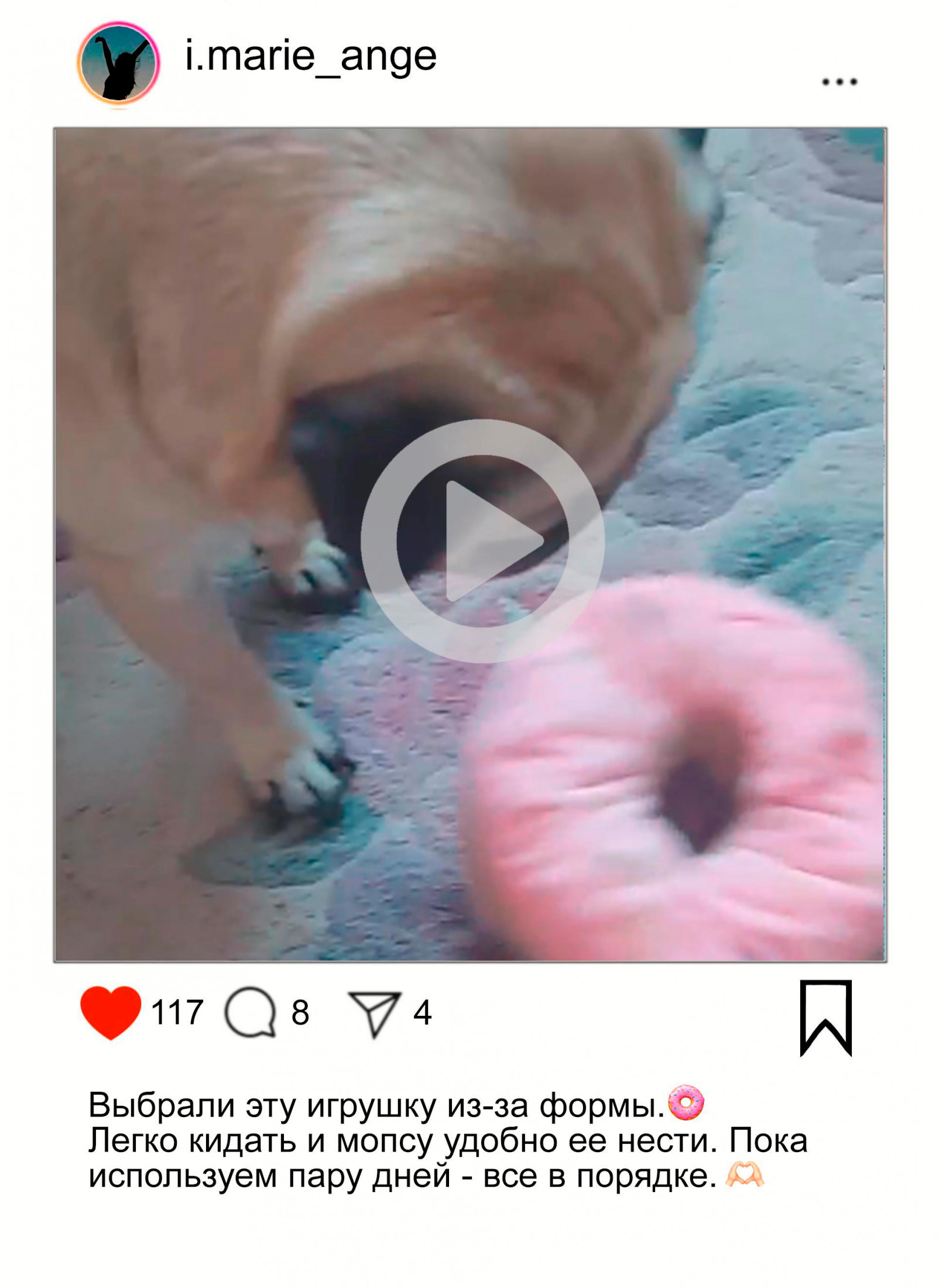 собака лежит в лежанке с игрушкой
