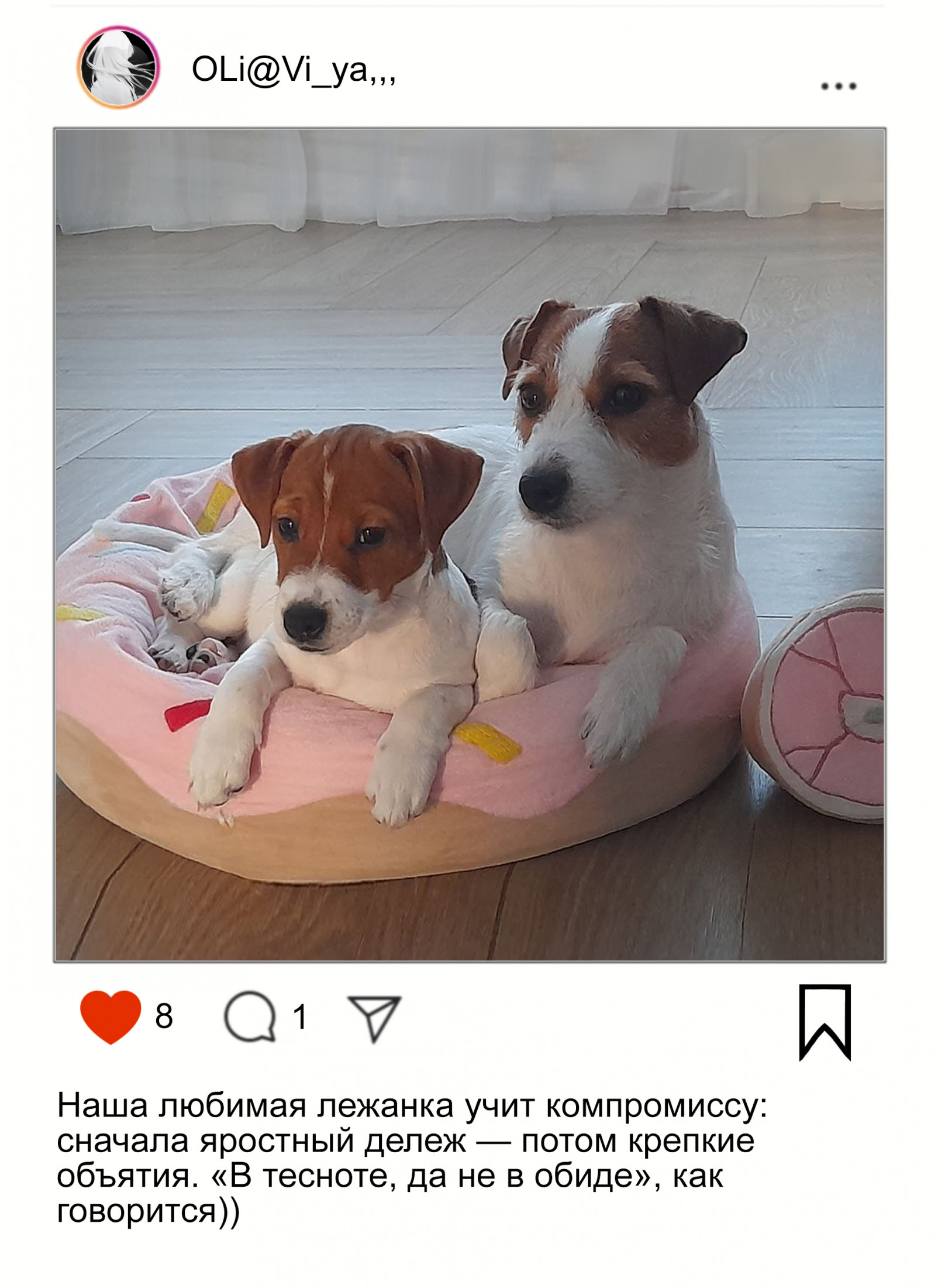 отзыв про лежанку пончик