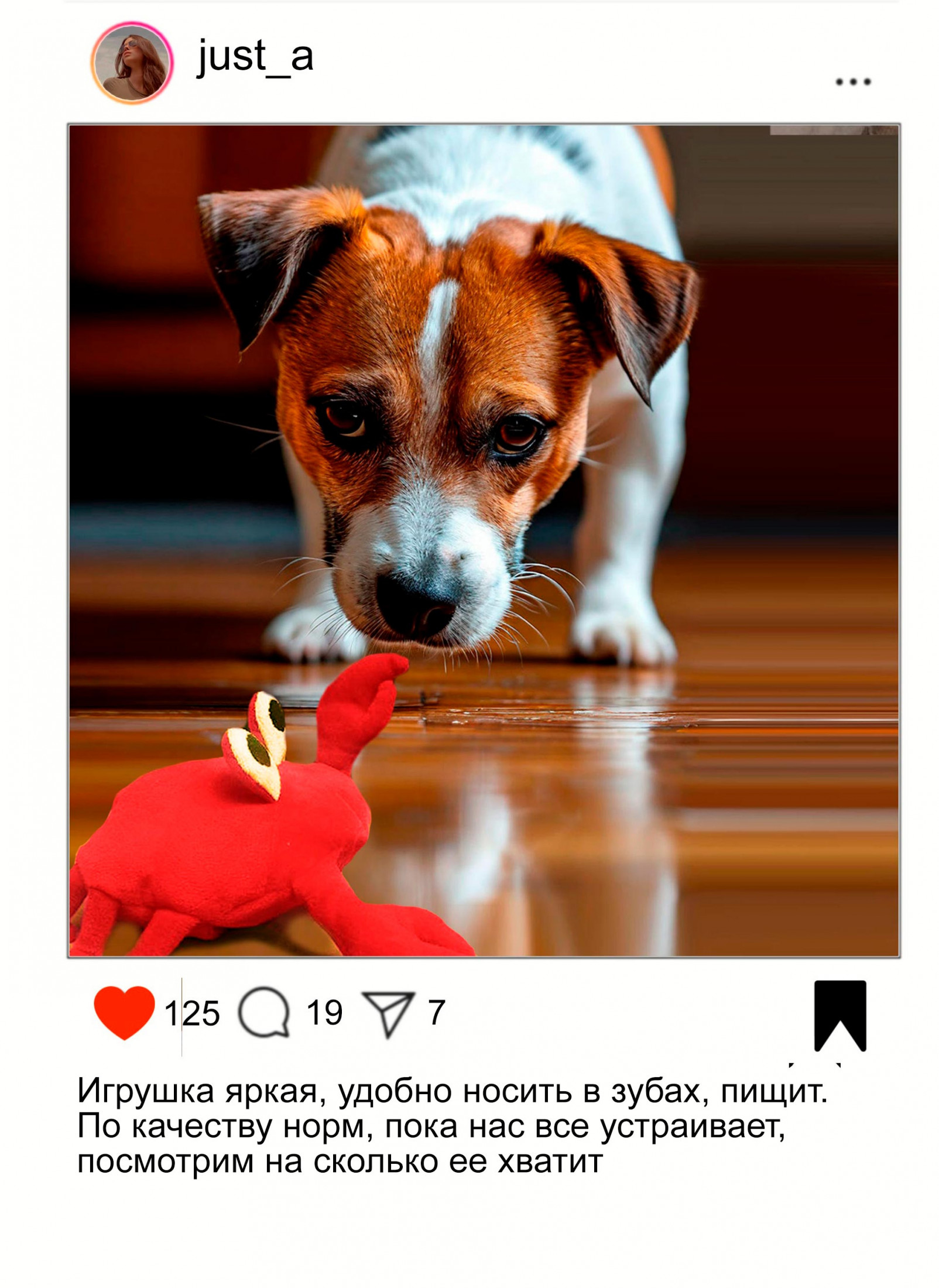 мягкая игрушка краб и собака