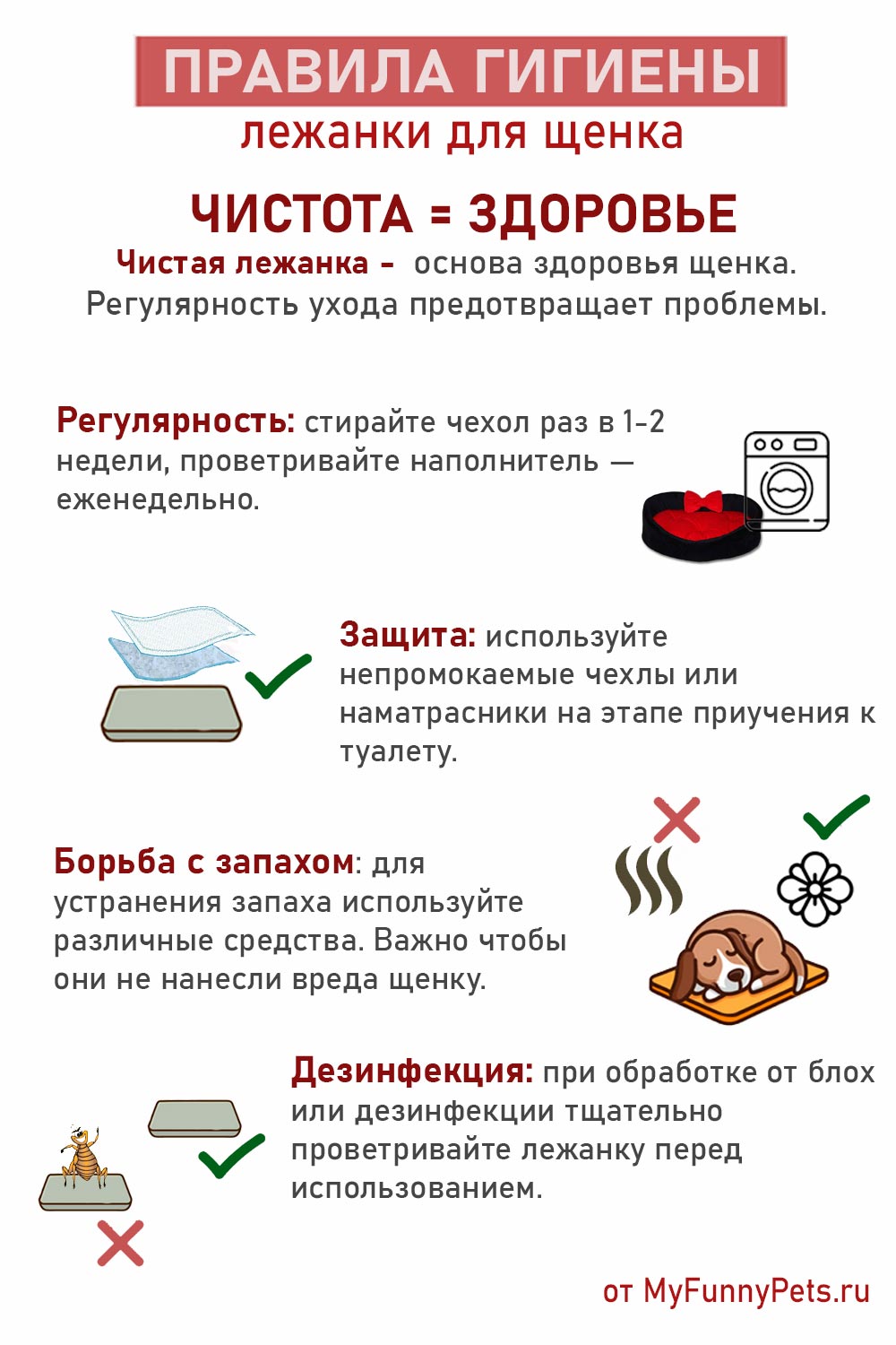 инфографика гигиена лежанки для щенка