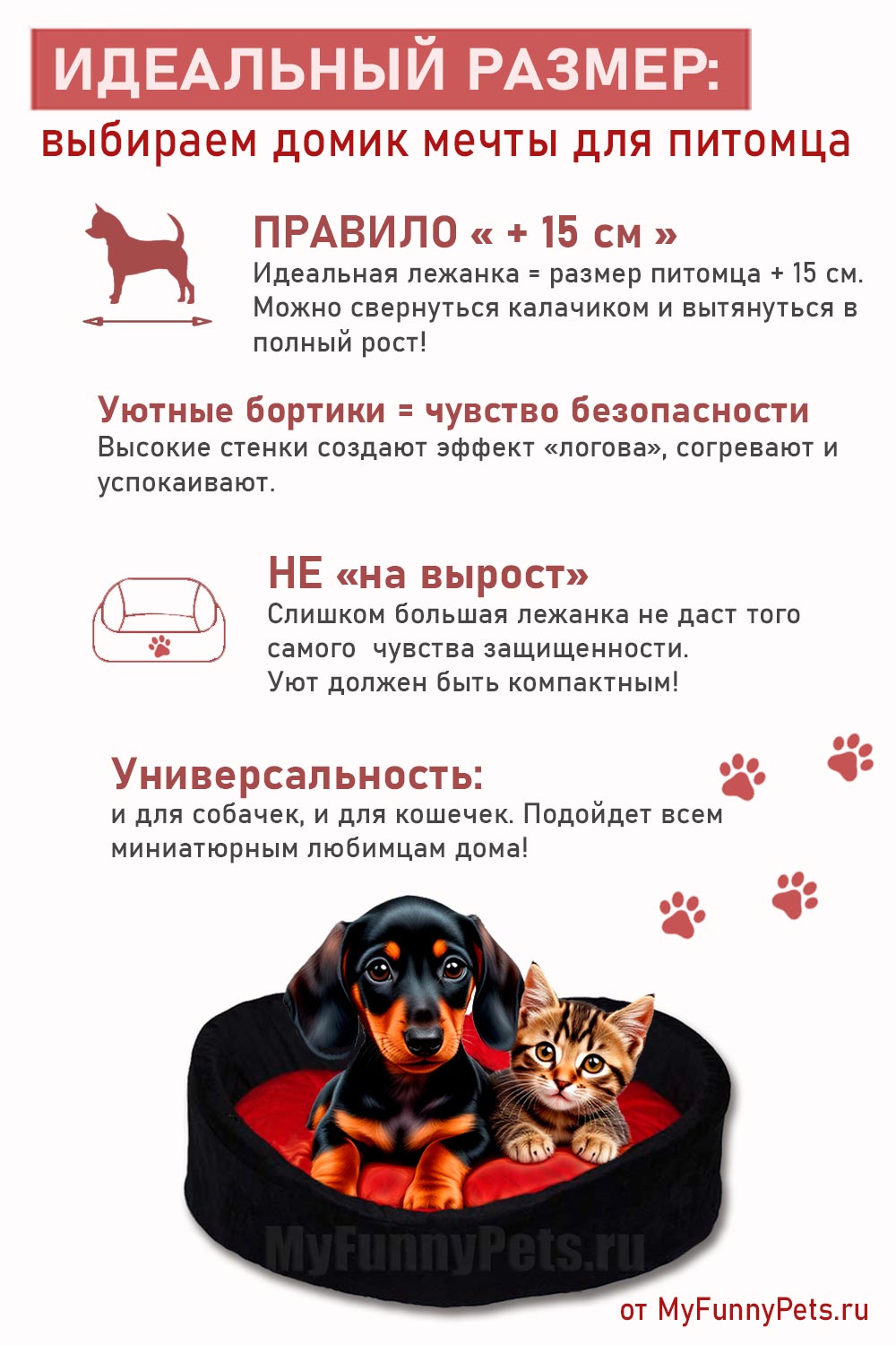 инфографика выбираем размер лежанки
