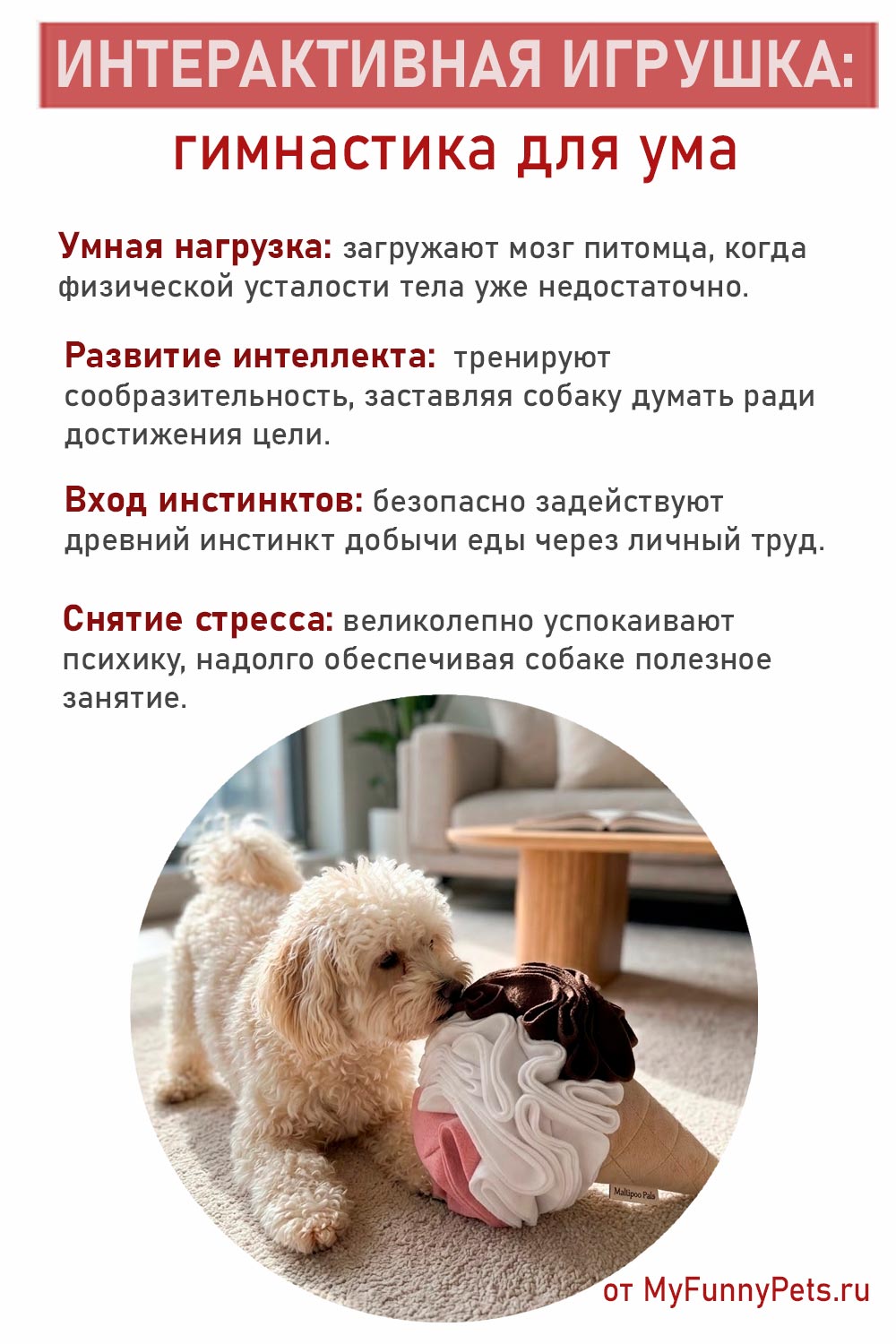 инфографика интерактивные игрушки для собак