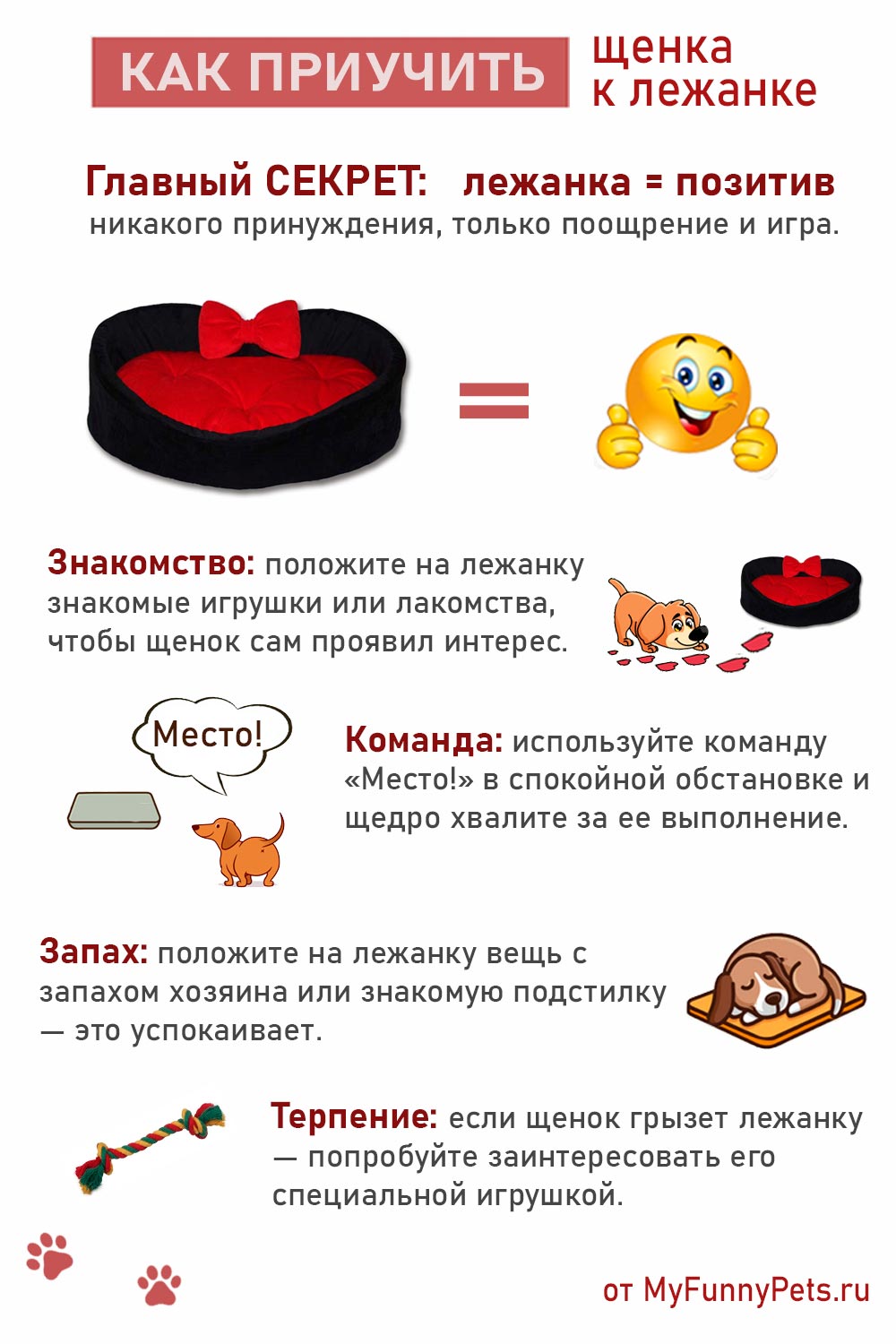 инфографика приучить щенка к лежанке