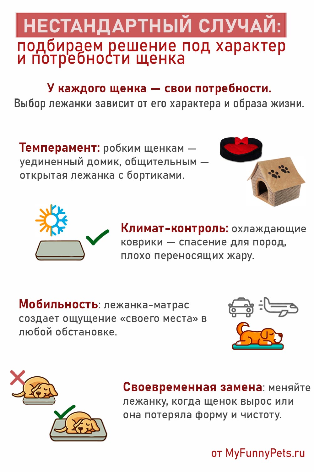 инфографика разные варианты лежанок для щенка